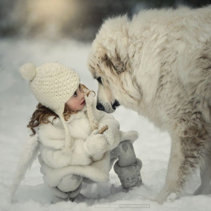niña en la nieve frente a su enorme perro blanco 