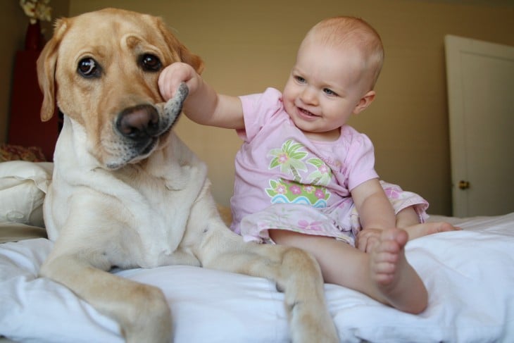 niña agarrando el hocico de su perro sentados en una cama 