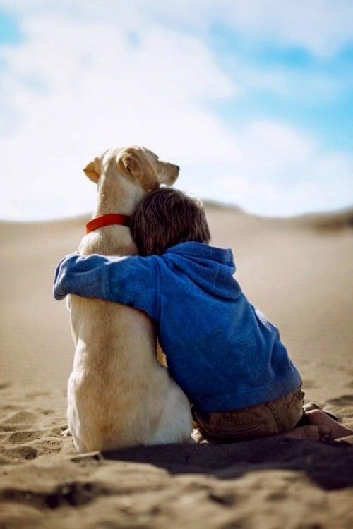 niño sentado en el suelo abrazando a su perro 