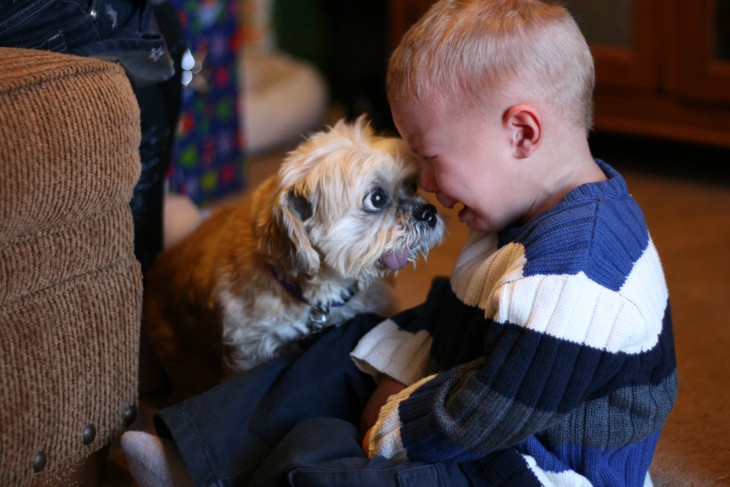 niño llorando frente a su pequeño perro 