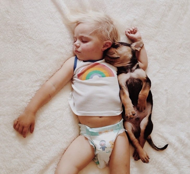 niño dormido junto a su perro en una cama 