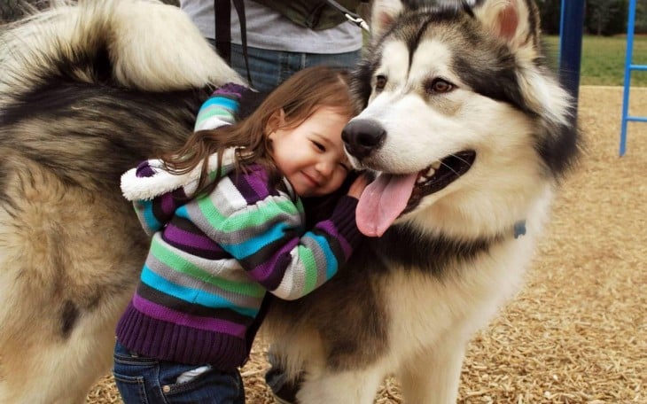 niña abrazando a su enorme perro 