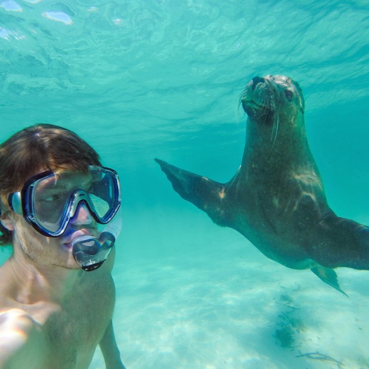 selfie de Allan Dixon con una foca abajo del mar 