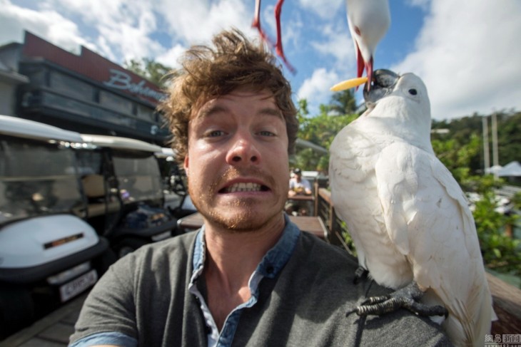 selfie de Allan Dixon con dos aves que intentan quitarse una papa 