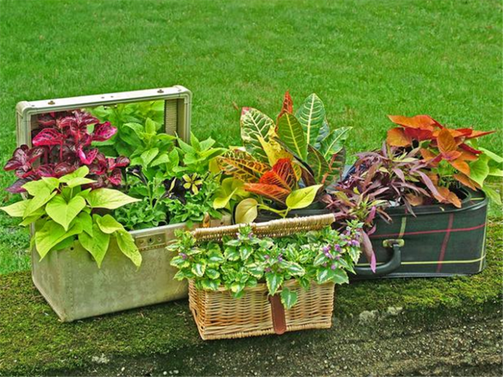 meceteros hechos con maletas y canastas viejas y reutilizables para el jardín de algun lugar en el que se desee un estilo vintage