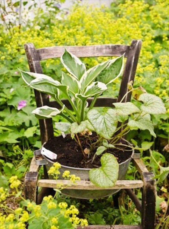 silla y olla viejas reutilizadas en el jardín