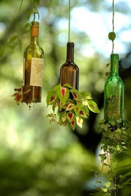 maceteros colgantes reutilizando botellas de vino tinto para darle un toque vintage