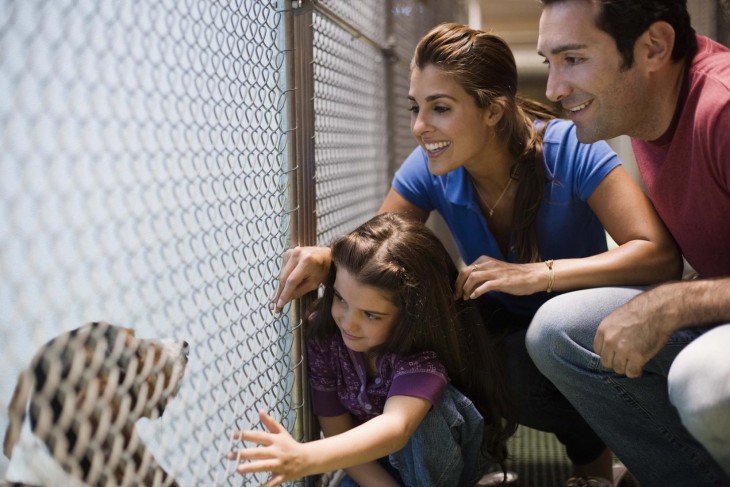 Familia a punto de adoptar un perro 