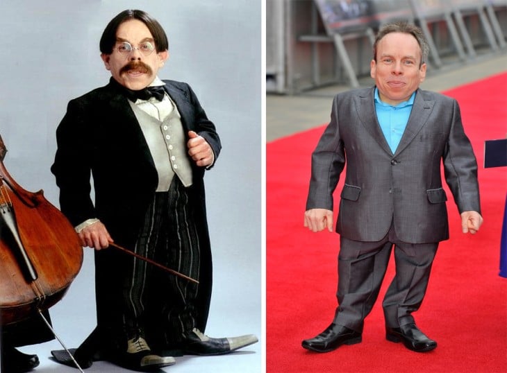 Warwick Davis