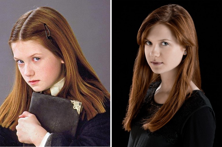 Así es como lucen actualmente los personajes de Harry Potter