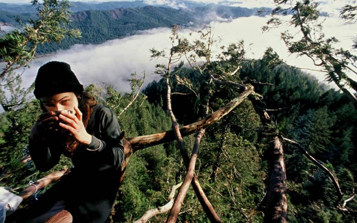 JULIA TOMANDO TE DESDE 60 METROS DE ALTURA CON SU AMIGA LUNA EL GRAN ARBOL DEL RED WOOD