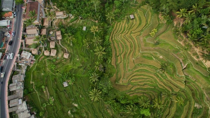 Terrazas de arroz Tegallalang, Bali 