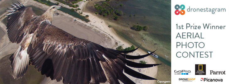 Fotografía de un águila con drone en dronestagram con logotipos de compañías reconocidas 