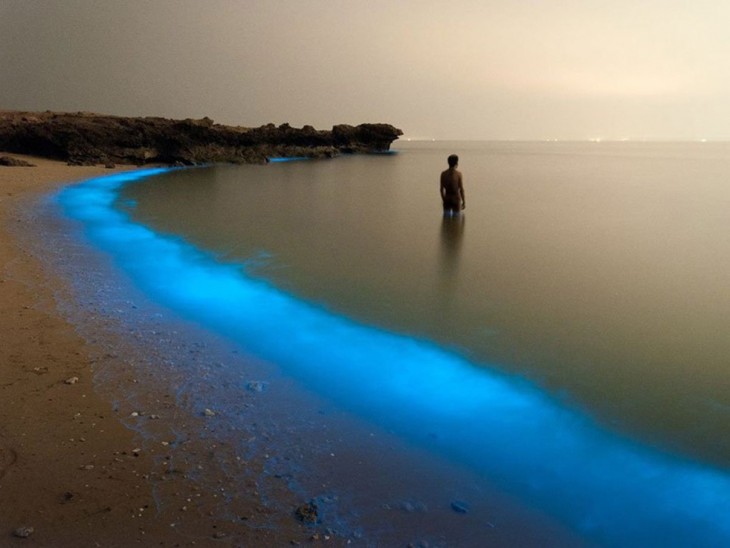  Lago luminoso en el Golfo Pérsico, Irán
