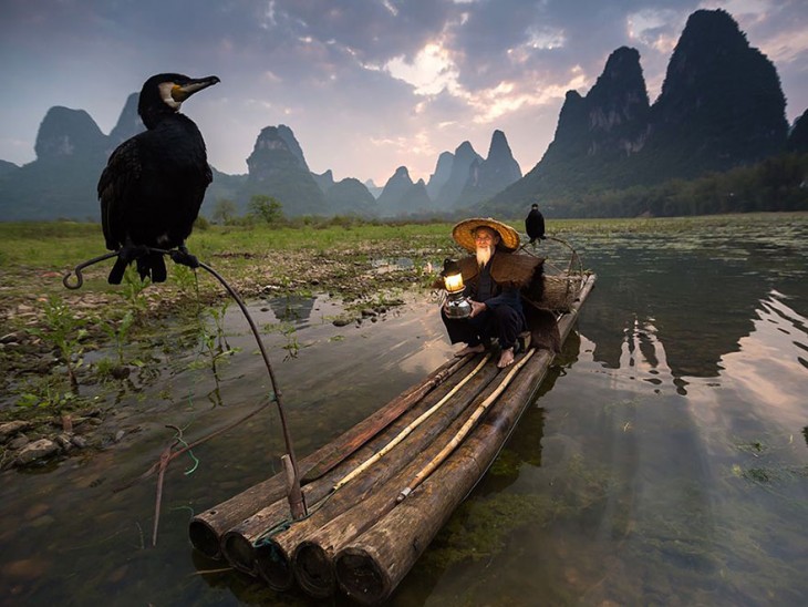 Alimentador de pájaros en Xingping, provincia de Guanxi en China por: Abderazak Tissoukai