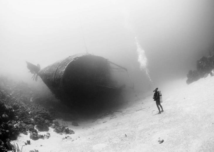 Hull-o en Isla Bonnaire, Caribe