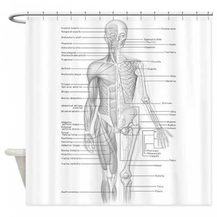 cortina para baño con el diseño de la anatomía humana 