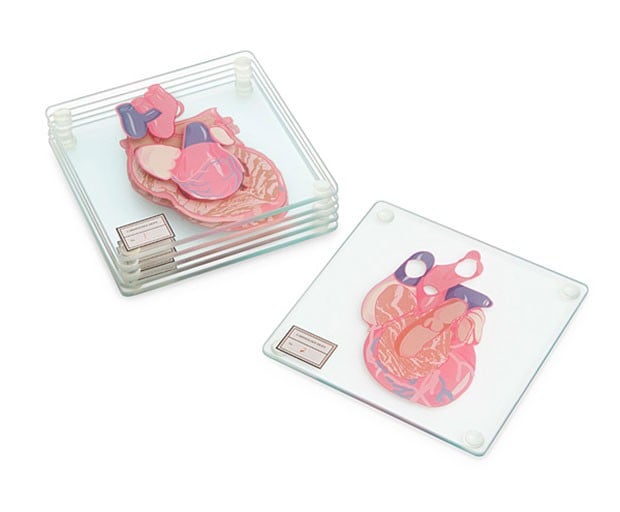 portavasos de vidrio con el diseño de la anatomía del corazón 