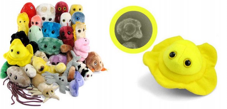 Peluches de microbios gigantes 