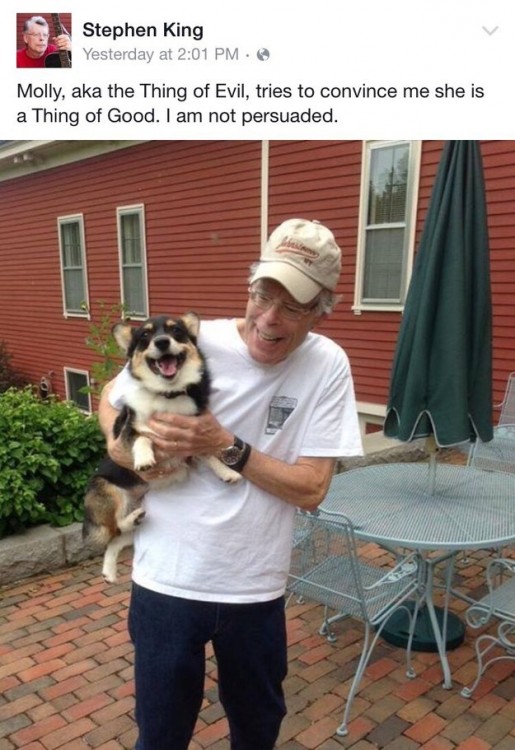 Stephen King cargando a su cachorro corgi 