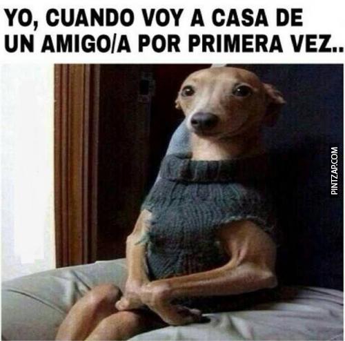 MEME YO CUANDO VOY A LA CASA DE MIS AMIGOS POR PRIMERA