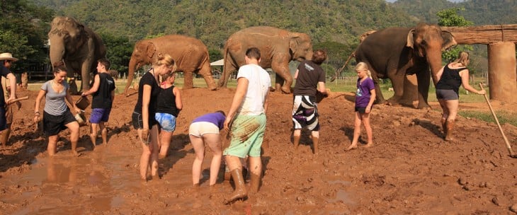 Personas conviviendo con los elefantes en el Elephant Nature Park