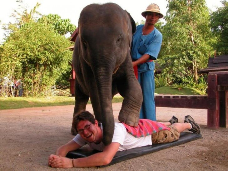 hombre recibiendo un masaje de elefante en Tailandia 