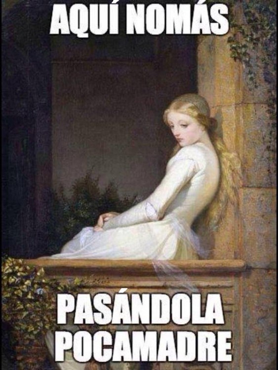 meme renacentista de una chica con la frase "aquí nomás pasándola pocamadre" 