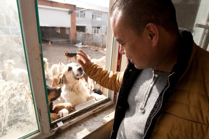 Hombre saludando a unos perros a través de una ventana