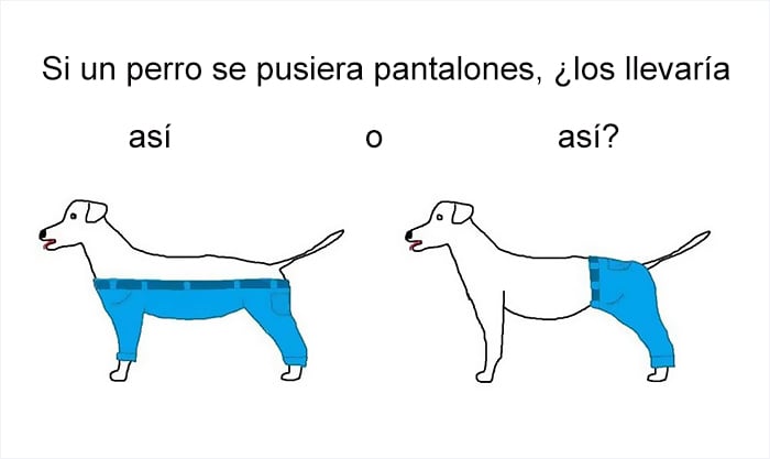 CÓMO SE VERÍA UN PERRO USANDO PANTALONES