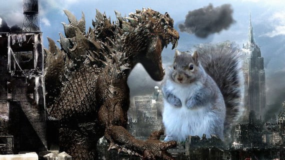 la ardilla gorda se enfrenta contra godzilla