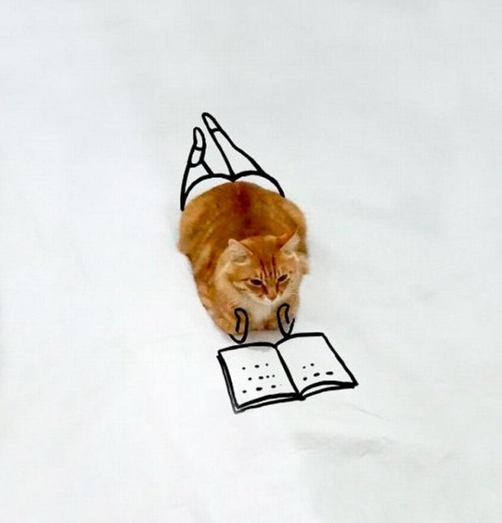 Gato sentado en el suelo con un dibujo como si estuviera leyendo