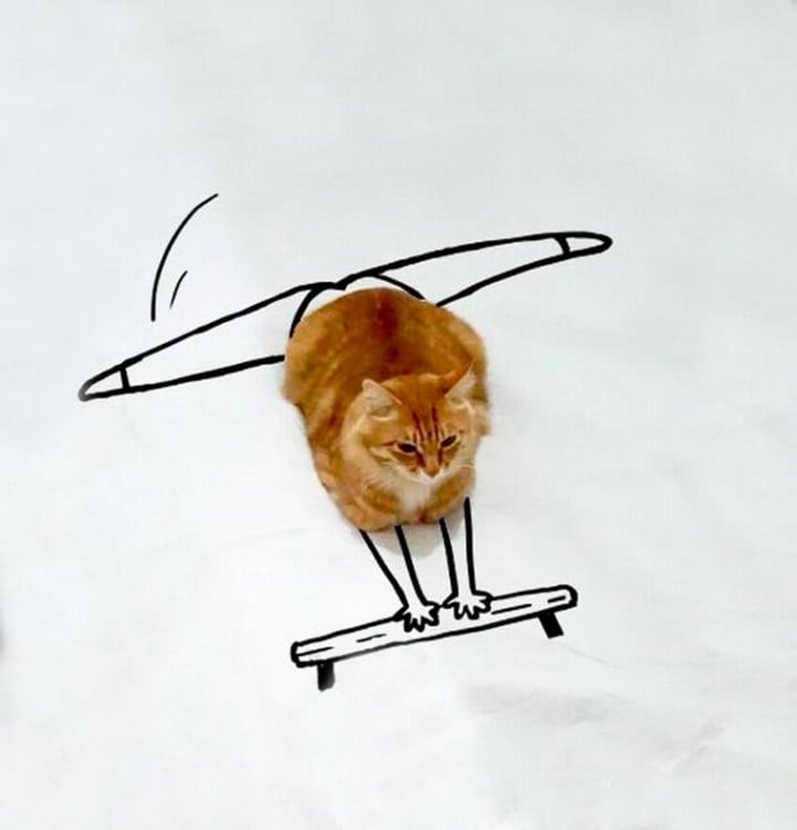 gato con dibujos que simula ser una bailarina 