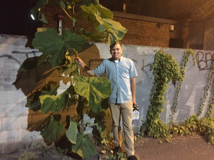 hombre tomando una planta pata de elefante como marihuana