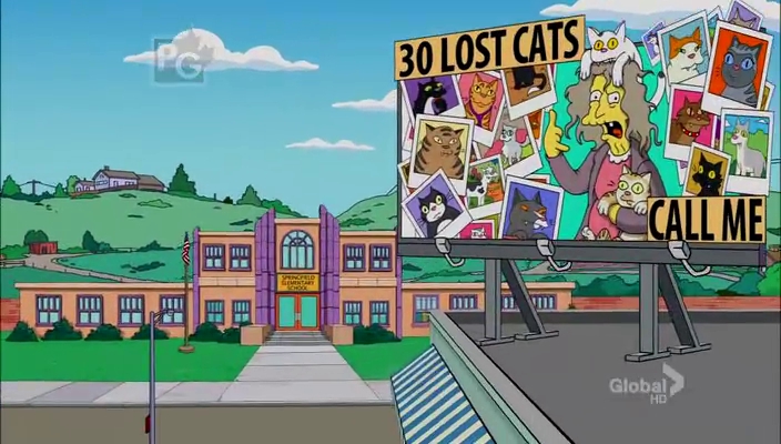 anuncio de gatos perdidos
