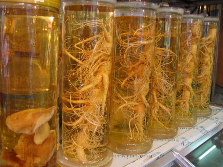 medicamentos curados de ginseng en Corea delNorte