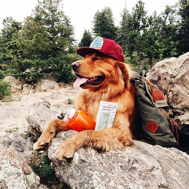 Aspen con su gorra roja y su mochila lista para viajar por las montañas
