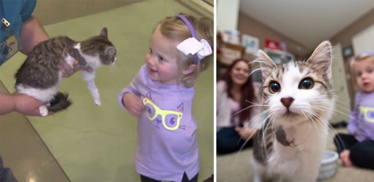 amistad entre Scarlette niña sin un brazo y su gato con sólo 3 patas 