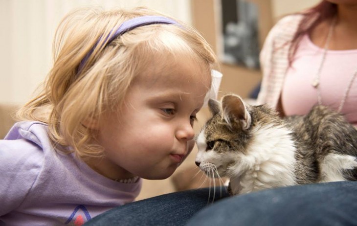 niña apunto de darle un beso a un pequeño gatito 