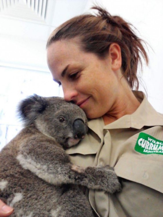 mujer abrazando un koala