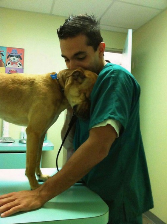 un perro después de haberlo curado 