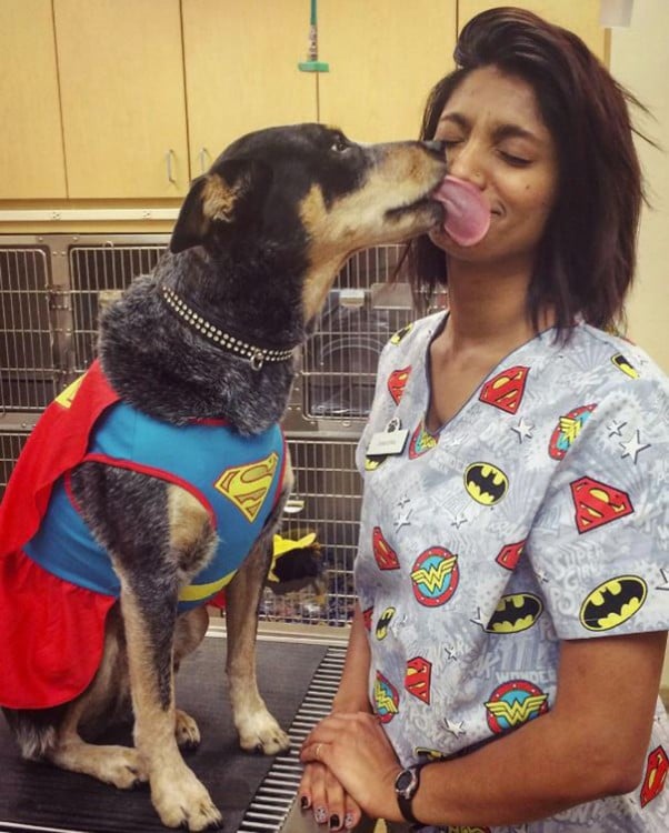 perro besando a su veterinaria favorita