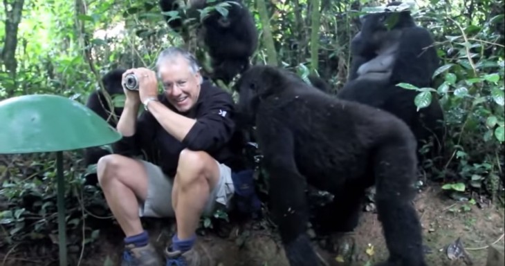 John fotógrafo que fue rodeado por gorilas espalda plateada 