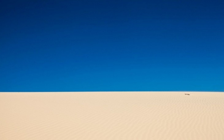 Fotografía de un desierto bajo un cielo completamente azul 