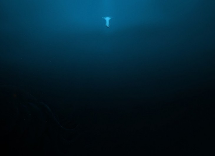 fotografía debajo de una persona que está entrando al mar 
