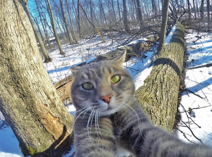 tomandose una selfie arriba de los troncos