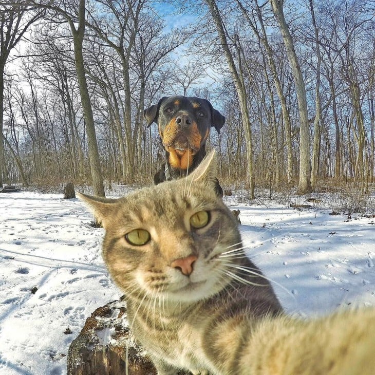 con su amigo el rott al fondo