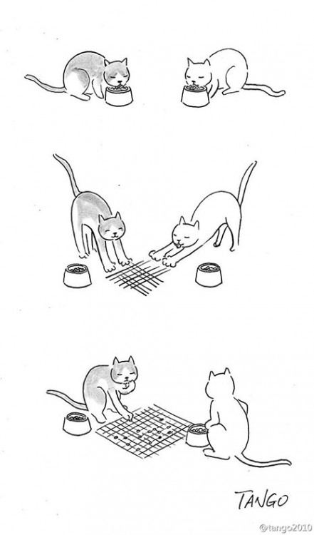 dibujo de dos gatos jugando con sus croquetas 