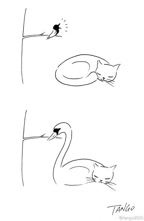 dibujo de un gato y un pájaro que forman un cisne 