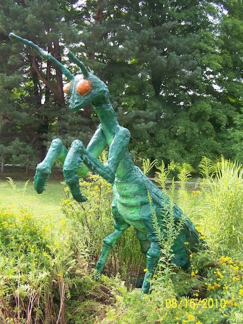 mantis religiosa como adorno en un jardín 